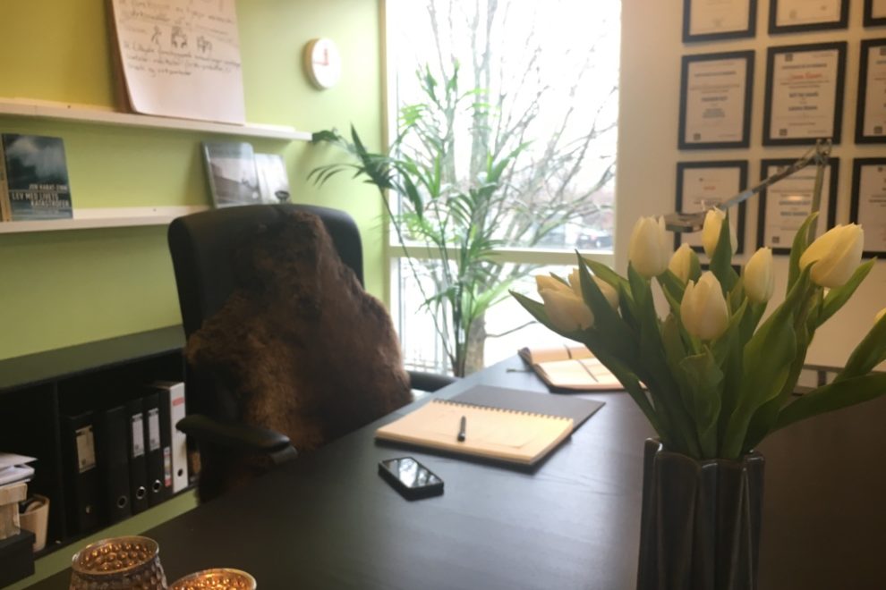 Dagslys er nødvendigt for at have et optimalt arbejdsmiljø