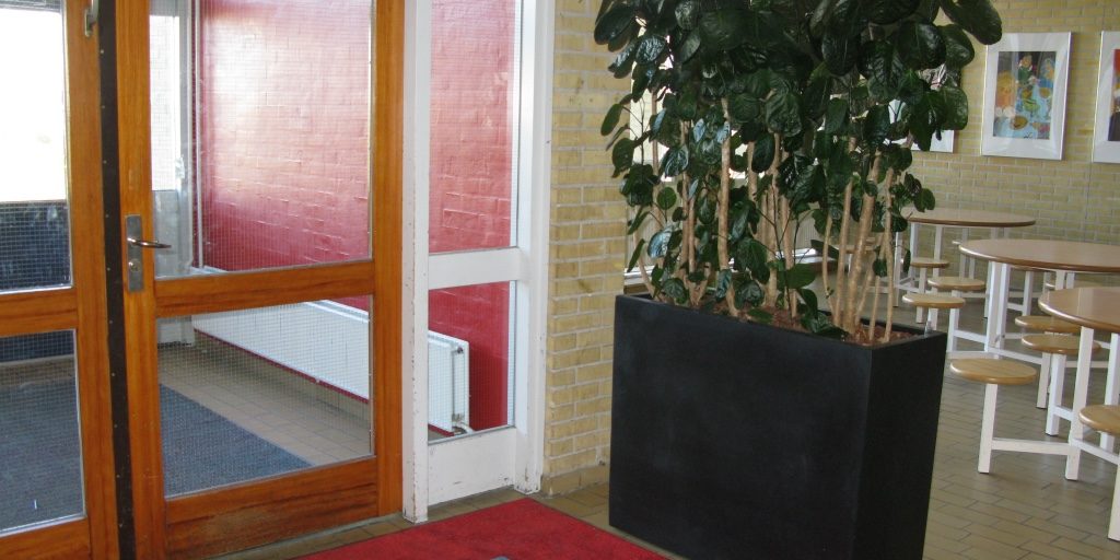 UNADJUSTEDNONRAW_thumb_41e