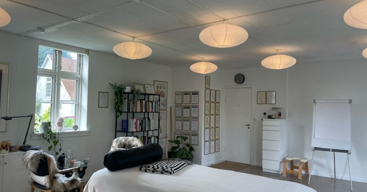 Helhedsløsning når du indretter din traumeklinik - ImPlacement ...