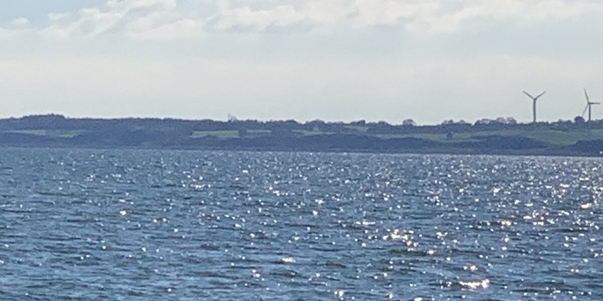 Flere og flere virksomheder ønsker en mere bæredygtig indretning. Men hvad betyder det egentlig – og hvordan finder man ud af, om det giver mening i praksis?